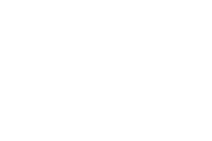 dog natural food logomarca